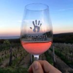 Wine tasting cruise