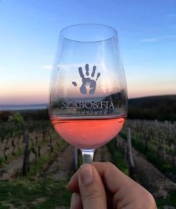 Wine tasting cruise